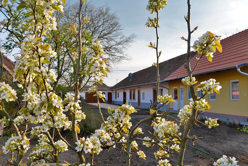 Rigófütty Vendégház Tiszaalpar Esterno foto