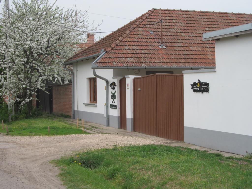 Rigófütty Vendégház Tiszaalpar Esterno foto