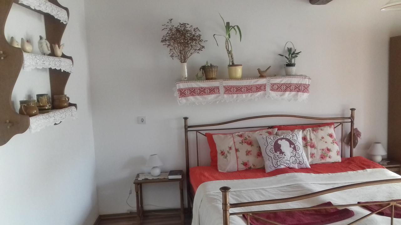 Rigófütty Vendégház Tiszaalpar Esterno foto