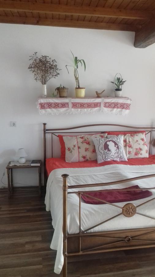 Rigófütty Vendégház Tiszaalpar Esterno foto