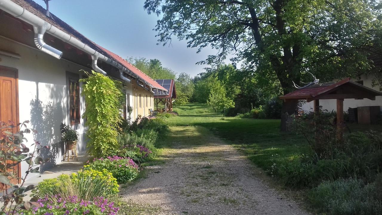 Rigófütty Vendégház Tiszaalpar Esterno foto