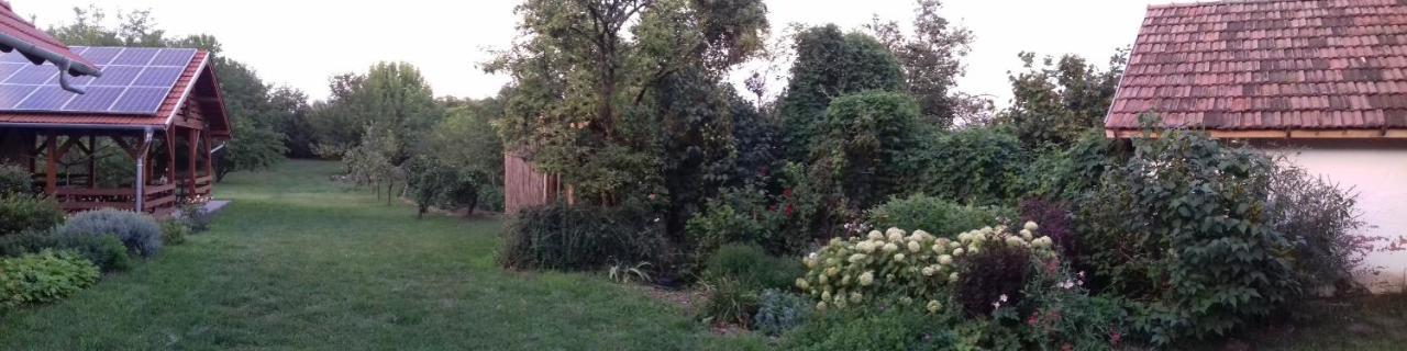 Rigófütty Vendégház Tiszaalpar Esterno foto